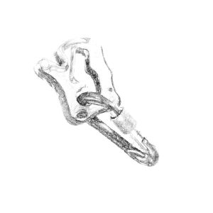 Discensori/Assicuratore