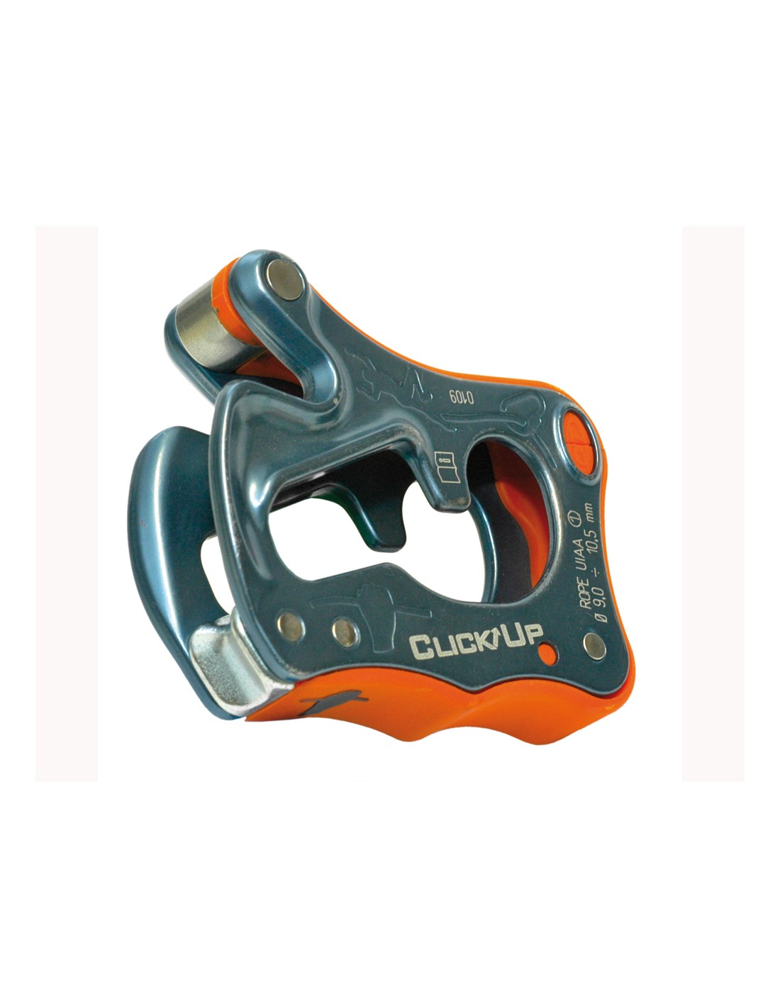 assicuratore-ct-click-up